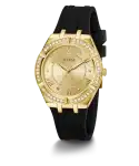 GW0034L1