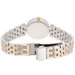 mk3323-michael-kors-watch-women-silver-dial-metal-stainless-steel-gold-two-tone-strap-quartz-battery-analog-three-hand-darci-petite