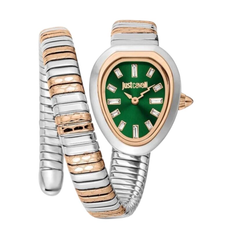 Just Cavalli Women's Watch JC1L222M0075