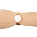 ar11006-emporio-armani-watch-women-mother-of-pearl-white-dial-stainless-steel-metal-rose-gold-strap-quartz-battery-analog-kappa